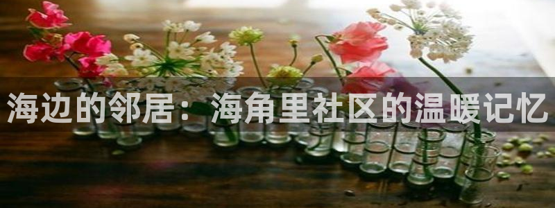 海角社区hjb7f:海边的邻居:海角里社区的温暖记忆