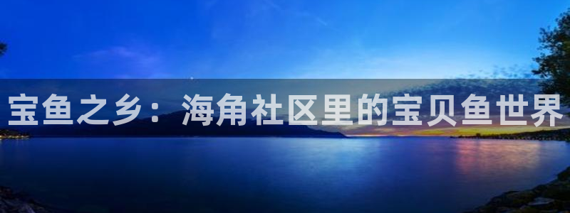 海角天涯社区hj:宝鱼之乡:海角社区里的宝贝鱼世界